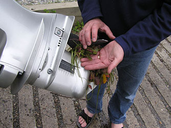 Uploaded Image: /uploads/Invasives Blog/Tangled_prop_w milfoil_small.jpg